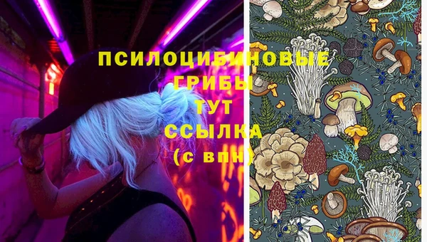 гидра Алексин