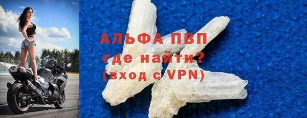 гидра Алексин