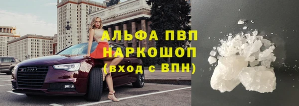 гидра Алексин