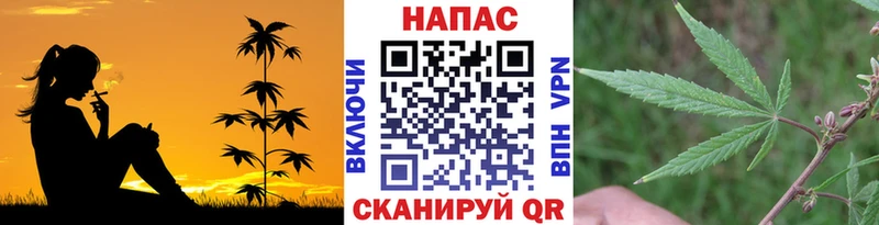 Марихуана ГИДРОПОН  KRAKEN маркетплейс  Межгорье 